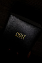 A black Bible with gold lettering.