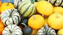 pile of pumpkins and gourds