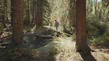 a man exploring a forest 
