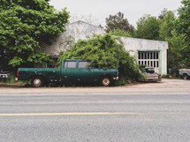 old green truck 