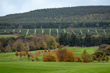 Variegated Landscape in Ireland in the Autumn