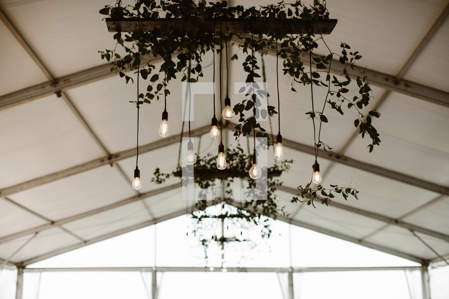 hanging lightbulbs on a light fixture at a wedding 