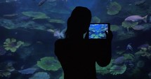 Woman with touch pad taking photos in oceanarium