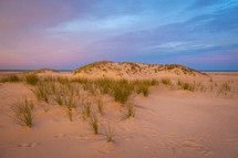 Grass growing from sand dunes at sunset 
