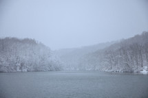 Foggy winter scene of snow covered trees on the edge of Dog Run Lake, West Virginia