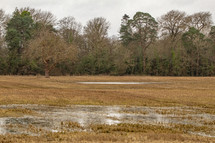 Flooding in Irish Farmland