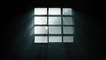 Prison window with a dove