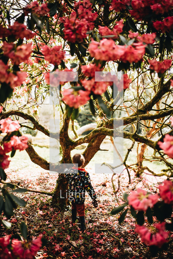 a girl in a rain jacket walking under a spring tree 