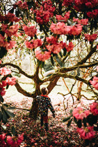 a girl in a rain jacket walking under a spring tree 