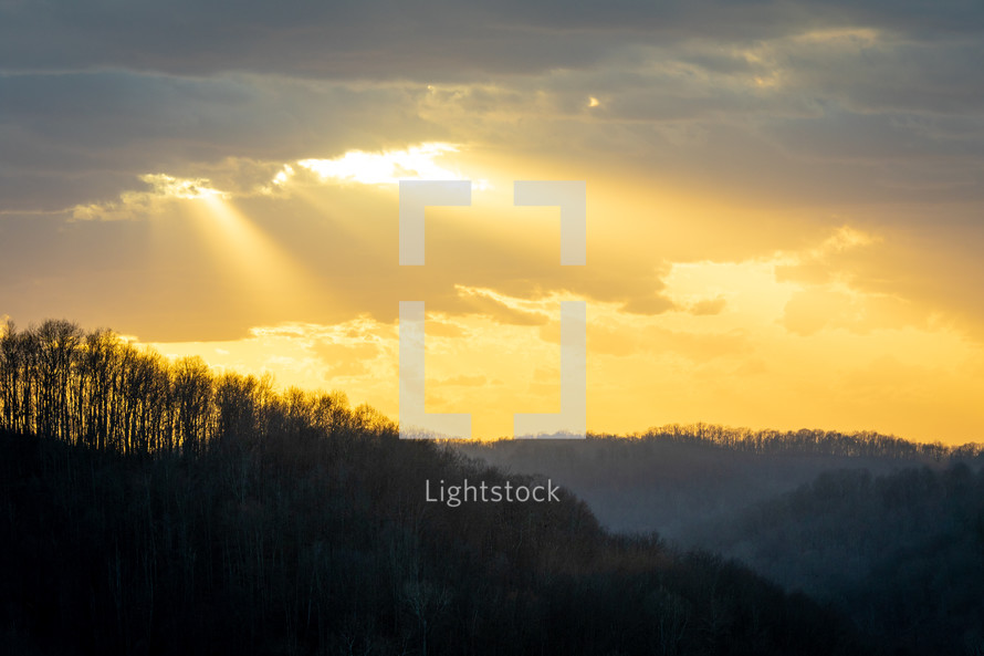 Yellow sun rays shining through dark clouds over forest silhouette