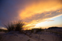 Tall grass on sand dunes at sunset 