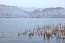 The snowy shore of Dog Run Lake, West Virginia during winter with trees and fog in the background