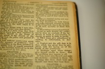 Pages of a Bible. 
Highlighting 1 Timothy 4:12