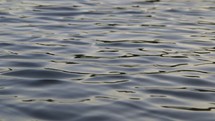 lake ripples 