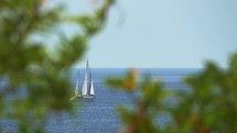 View through tree branches to the yacht sailing in sea