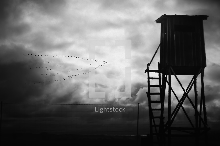 The silhouette of an abandoned building and a group of birds soar through the dark, monochrome sky
