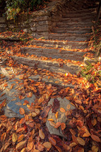 Fallen colorful autumn leaves on stone staircase steps and wall