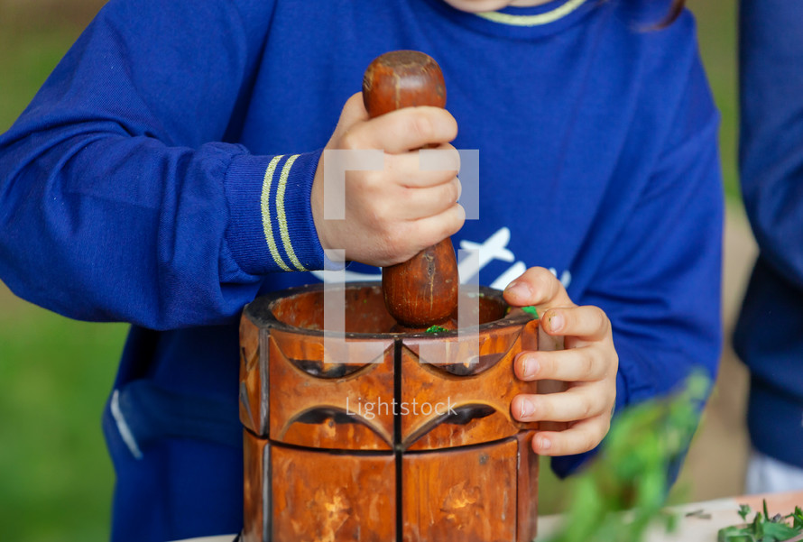 Child grinds aromatic herbs in a mortar. Outdoor experience.