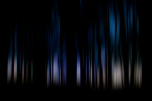 Blue Light Through Forest Trees Silhouette