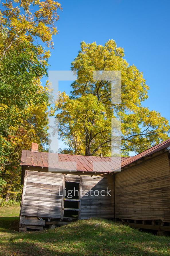 Abandoned old rural wooden building surrounded by trees