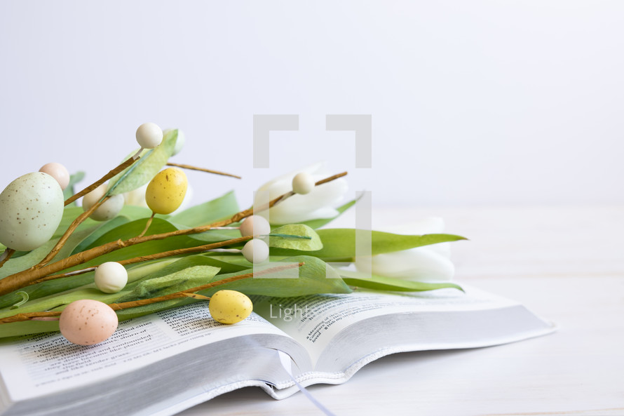 Easter eggs spray on a Bible 