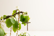Rosary prayer beads hanging on a branch with spring blossoms