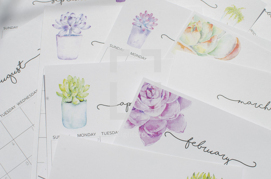 calendar pages with succulent plants 