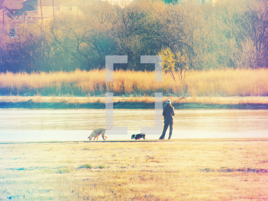 woman with her dogs by a lake, photo with light leak effect