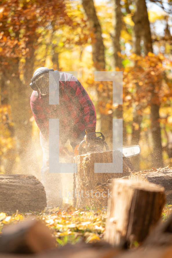 Man with chainsaw cutting up a tree in autumn