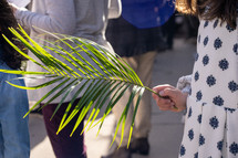 Close up of Young girl holding a palm branch