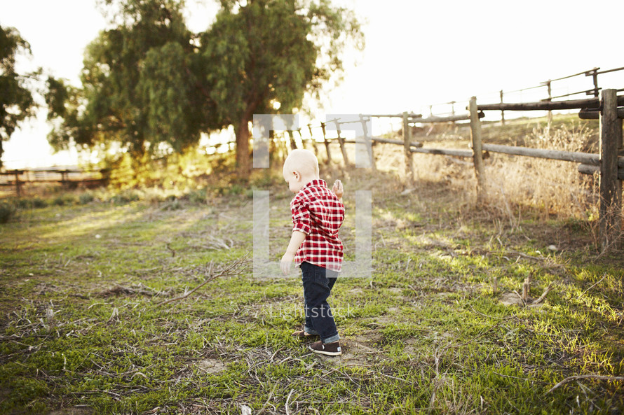 toddler boy walking in a pasture