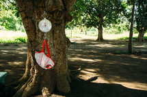 a scale hanging in a tree 