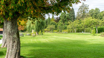 green grass in a park 