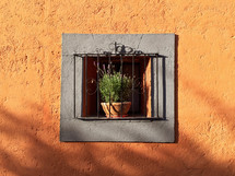 potted plant in a barred window 