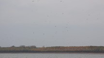 Scenic View Of Birds On Flight Over Serene River During Autumn. Static