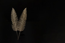 gold feathers on a black background 