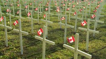 Remembrance crosses in a Canadian cemetery 
