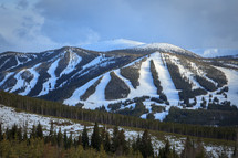 Ski slopes on snowy mountain range with trees at Apraho National Forest, Colorado