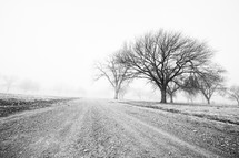 fog over a rural gravel road 