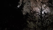 panning camera from the pov of a person walking towards the light and searching something in a dark gloomy goth forest at night