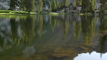 lake reflection and gnat bugs 