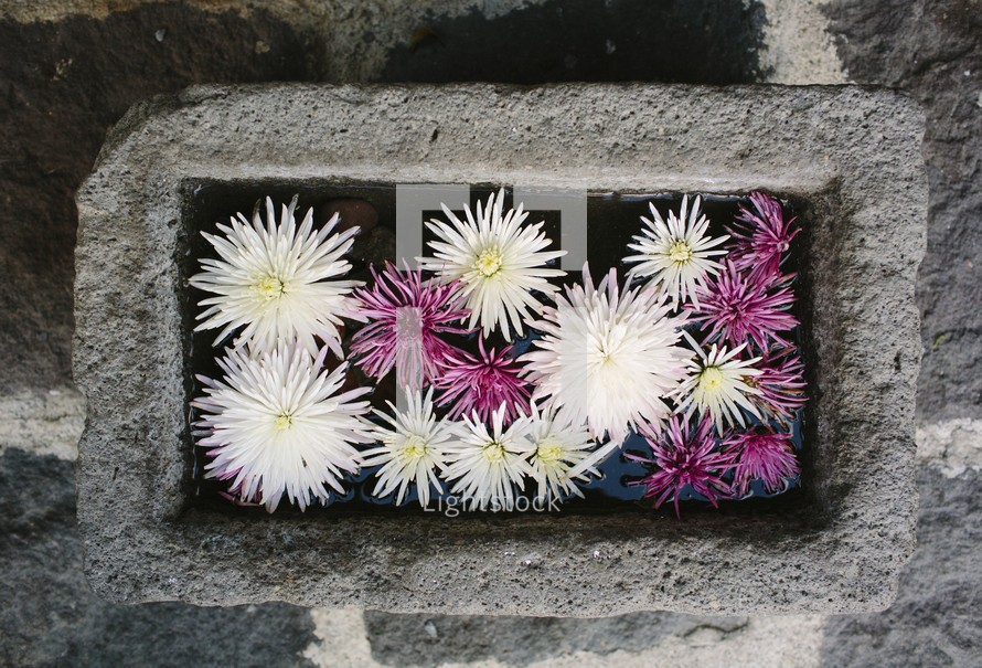flower box 