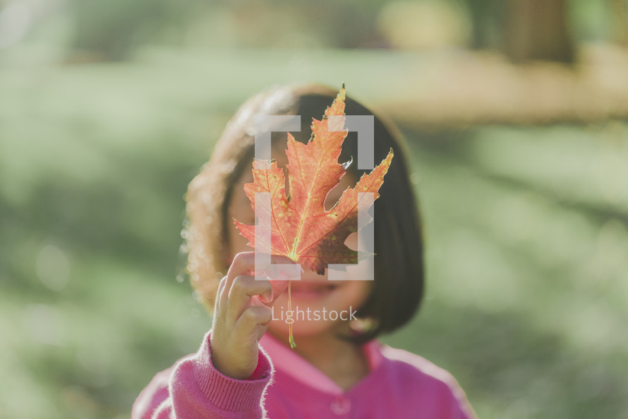 a young girl holding up a fall leaf 