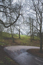 a curve on a paved road in Dyrham Park