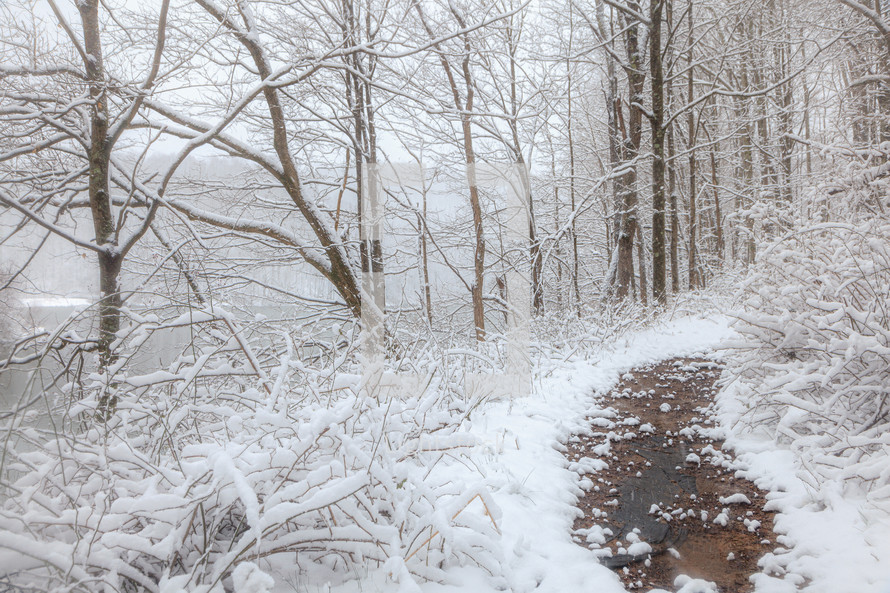 Snowy path between trees through the forest in West Virginia during winter