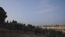 Dome Of Rock, Al Aqsa And Temple Mount Of Jerusalem