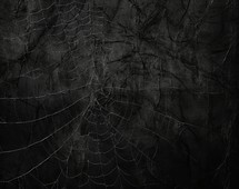 spider web on black background for halloween or horror concept