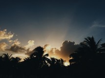 rays of sunlight through the clouds above palm trees 