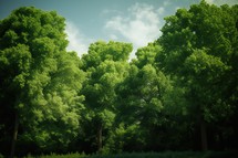 Green Tress  Forest