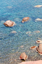 basking in the sunlight on rocks in the waters along the shore of Turkey 